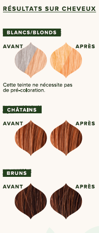 EMBLICA - Coloration végétale “7.3 Blond Ambré”, 100 g