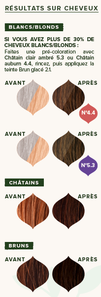 EMBLICA - Coloration végétale “2.1 Brun Glacé”, 100 g