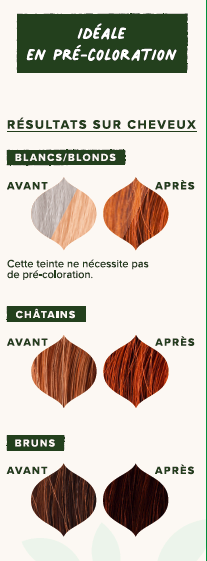 EMBLICA - Coloration végétale “4.4 Châtain Auburn”, 100 g