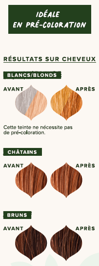 EMBLICA - Coloration végétale “5.3 Châtain Clair Ambré”, 100 g