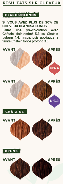 EMBLICA - Coloration végétale “3.0 Châtain Foncé Profond”, 100 g