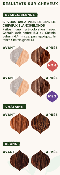 EMBLICA - Coloration végétale “4.1 Châtain Glacé”, 100 g