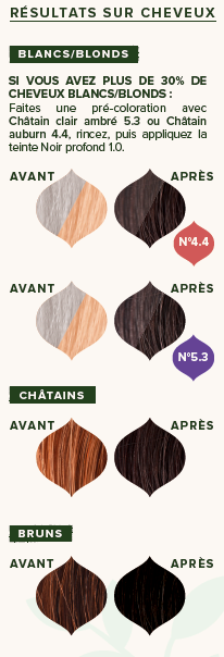 EMBLICA - Coloration végétale “1.0 Noir Profond”, 100 g